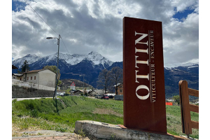 Nicolas Ottin of Ottin Elio on the Beauty and Uniqueness of Italy's High Altitude Valle d'Aosta Vineyards