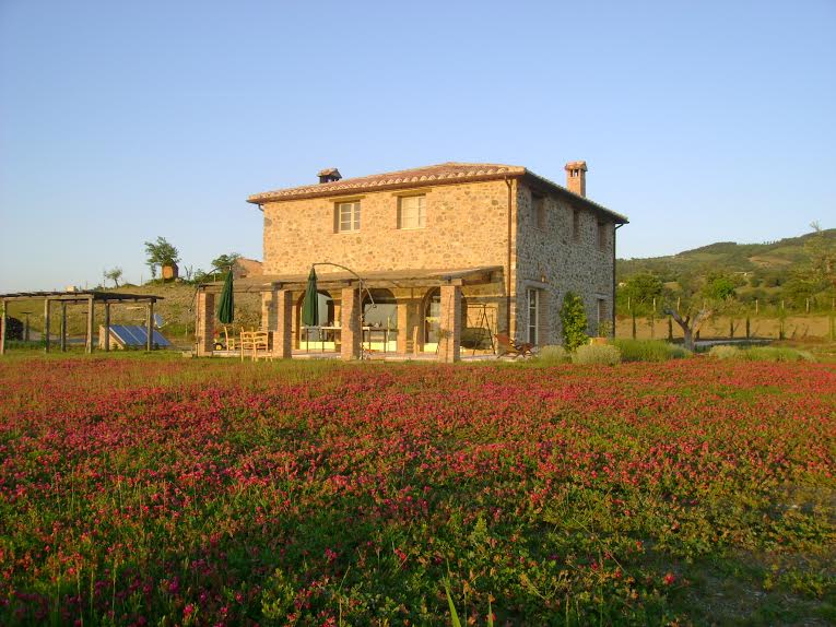 Seeing Montecucco Through the Eyes of Winemaker Giovan Battista of Basile Organic Wine Farm