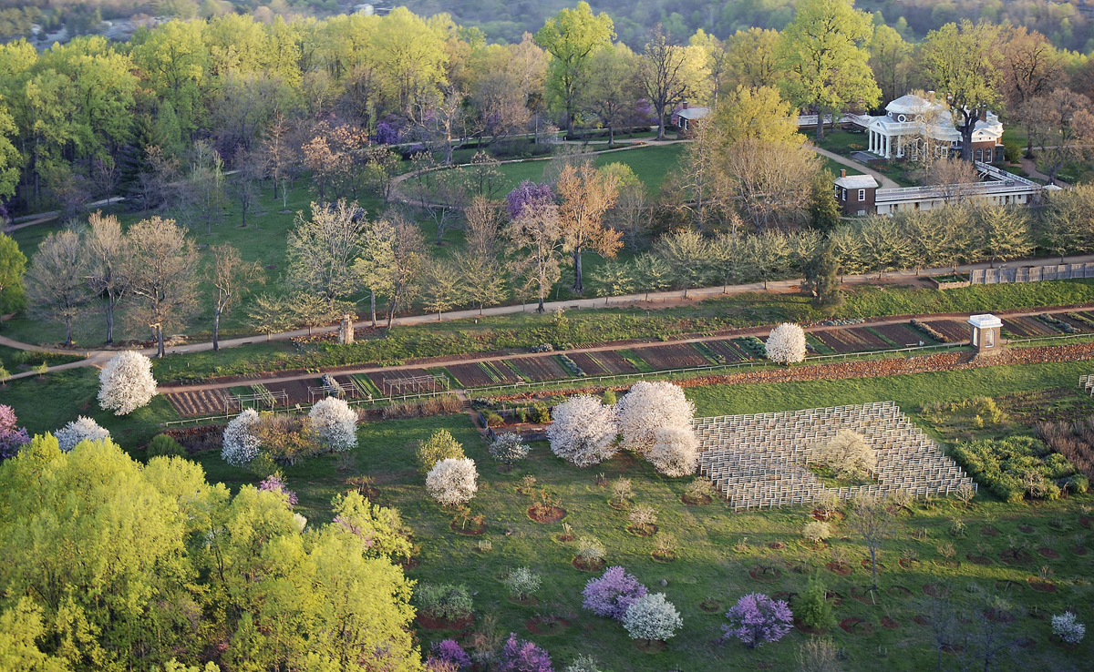 Virginia’s Wine Renaissance