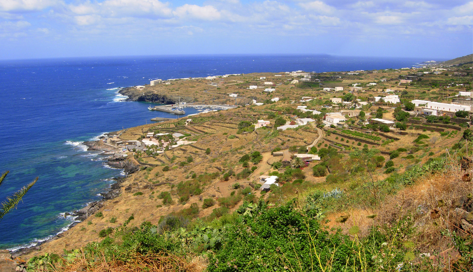 Wondrous Zibibbo from Pantelleria