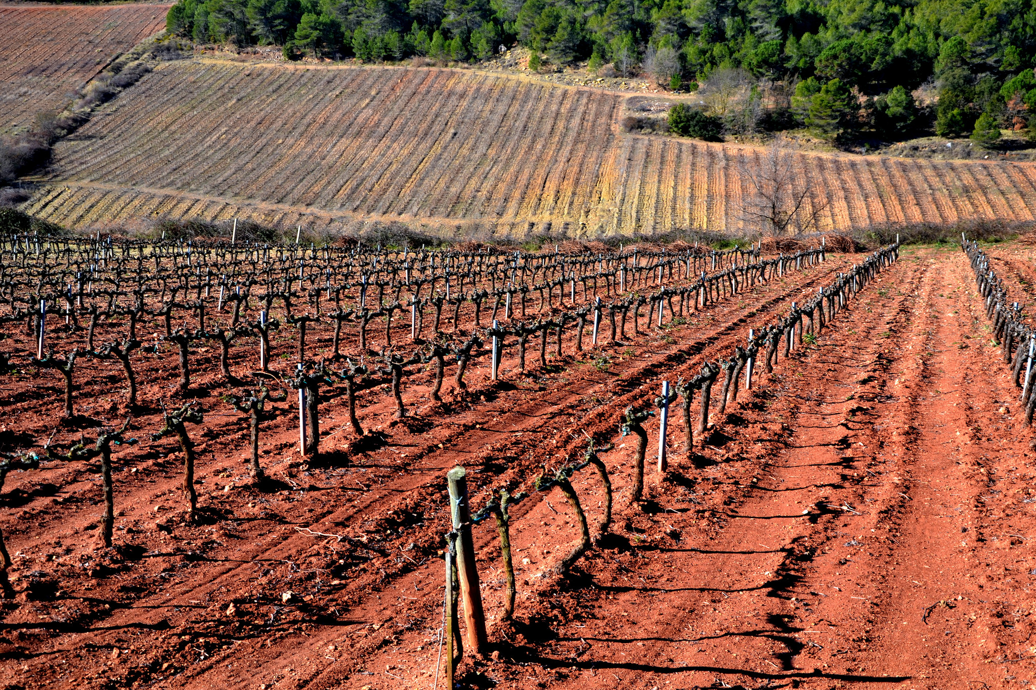 Terroir: Under the Surface