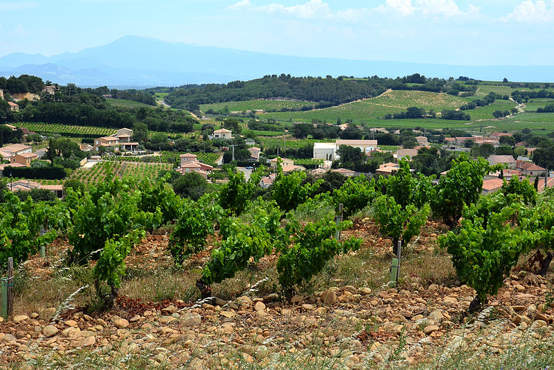 A Snapshot of Châteauneuf-du-Pape