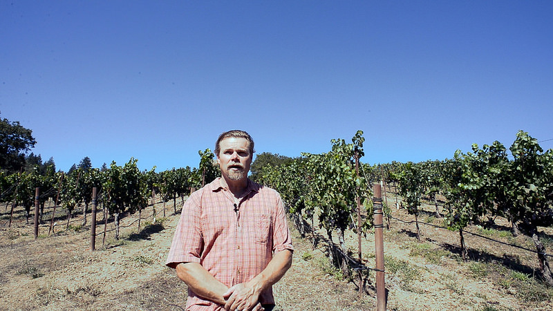 Alex Davis, Porter Creek Vineyards