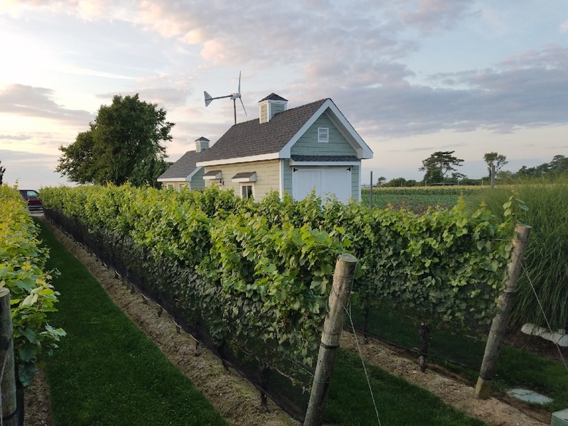 Long Island's Smallest: OR Winery