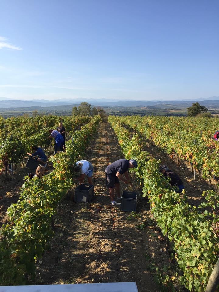 Bertrand Gourdou Of Château Guilhem On Creating The Malpère Appellation And Continuing His Family's Legacy