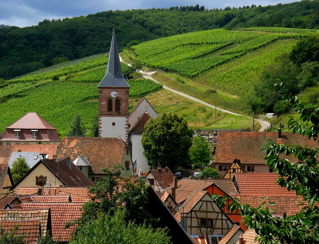 Kuentz-Bas and the Elegance of Alsatian Wine