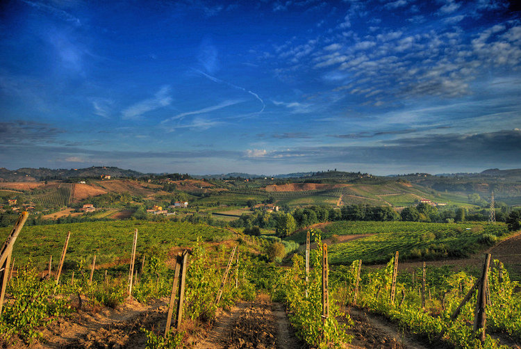 Chianti, More Than The Silence of the Lambs