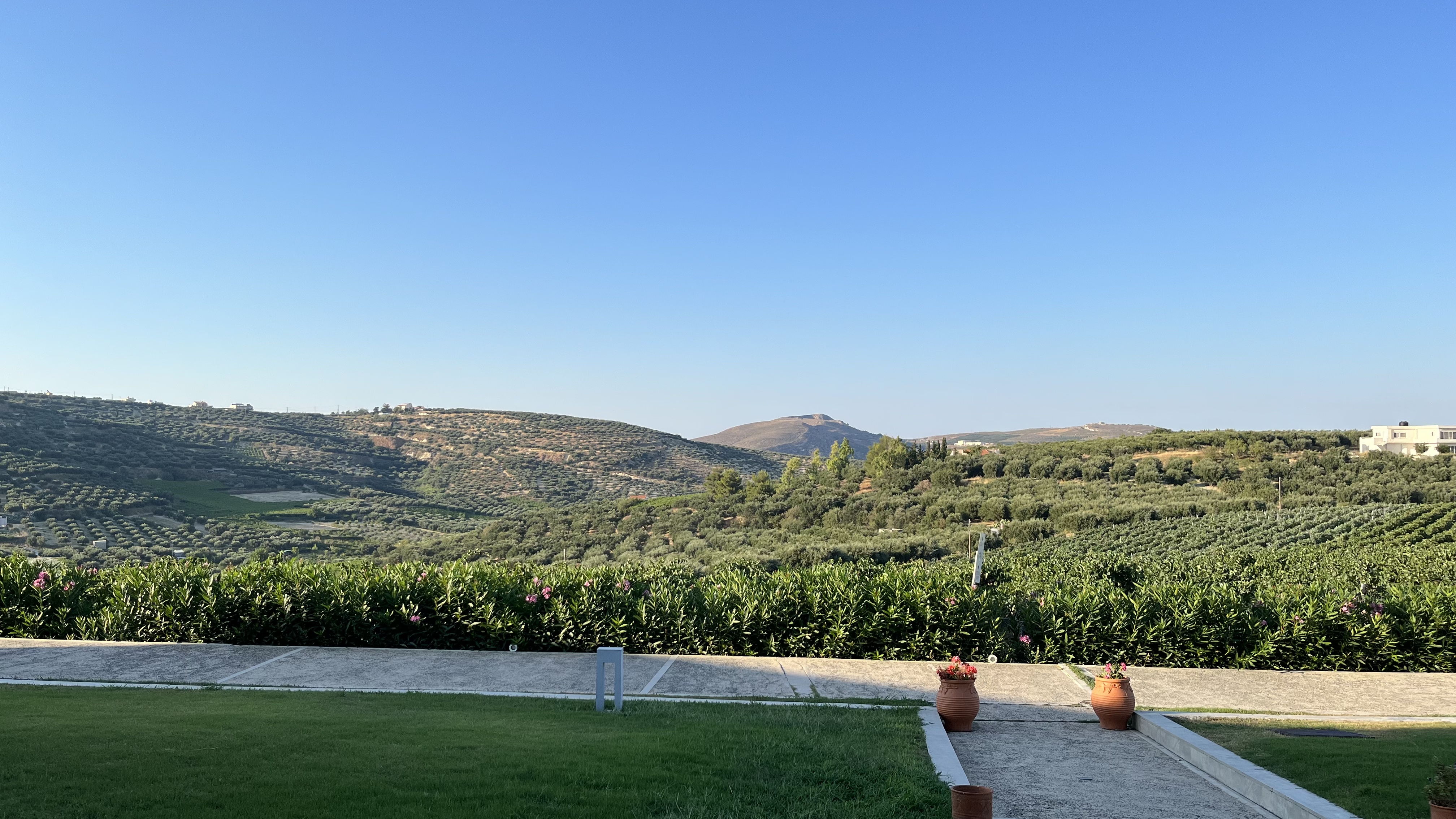 Wines of Crete: Falling Back to Spring Forward