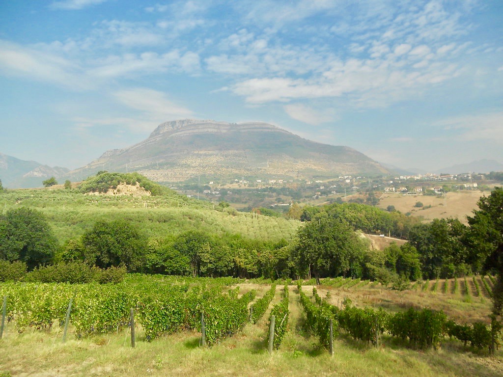 Campania: Volcanic Wines from Pompeii to Present Day