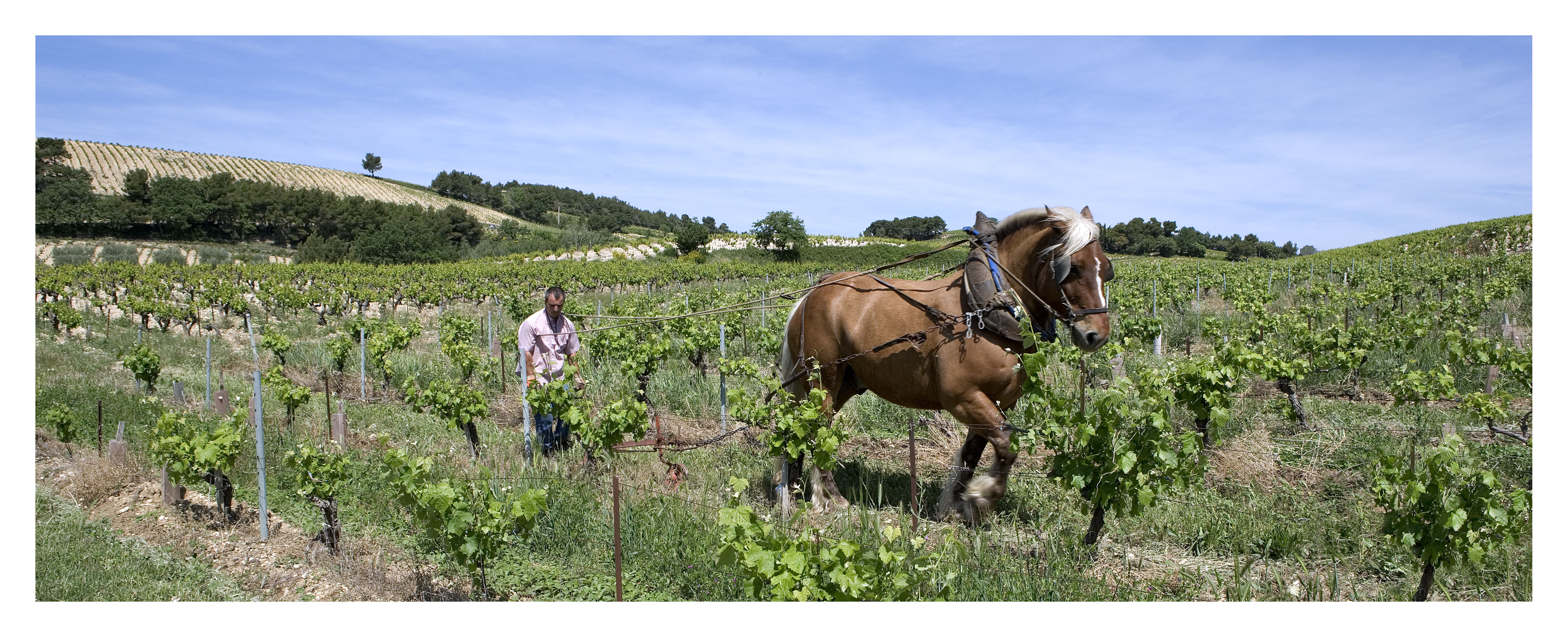 Victor Coulon, Domaine de Beaurenard