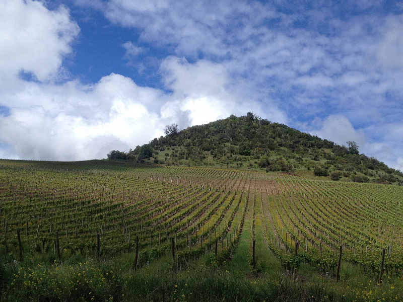 Exploring The Wines of South America With Master Sommelier Evan Goldstein