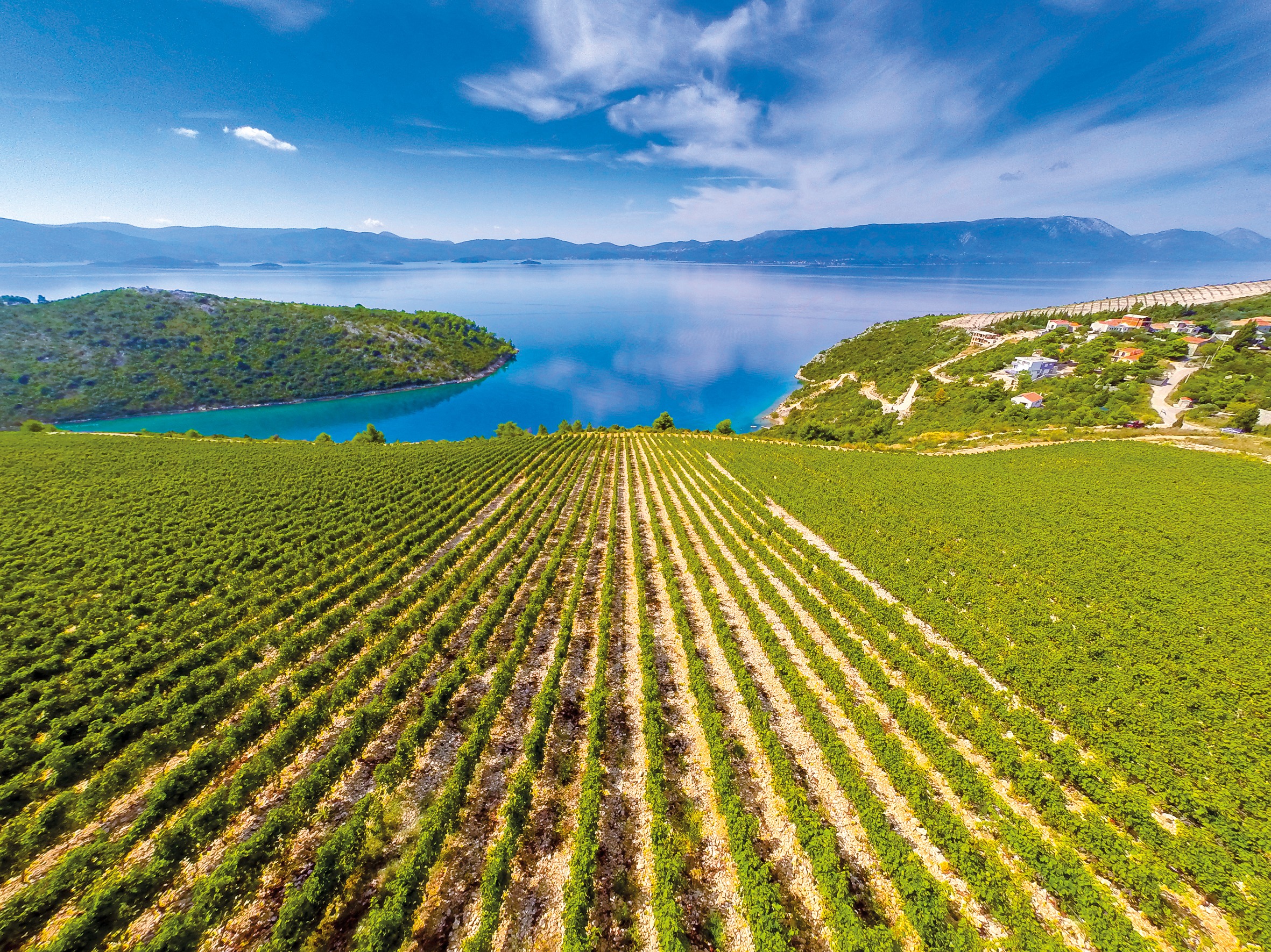 On the Edge of the Sea, A New Wine Region Emerges