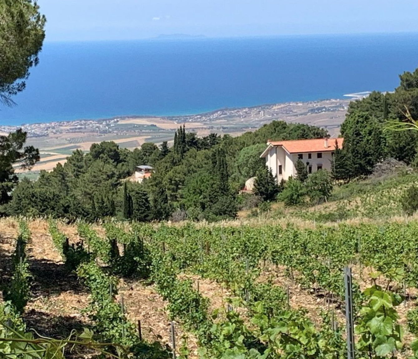 Artisanal Craft and Natural Wine in Alcamo, Sicily: Alessandro Viola and Luigi Stalteri