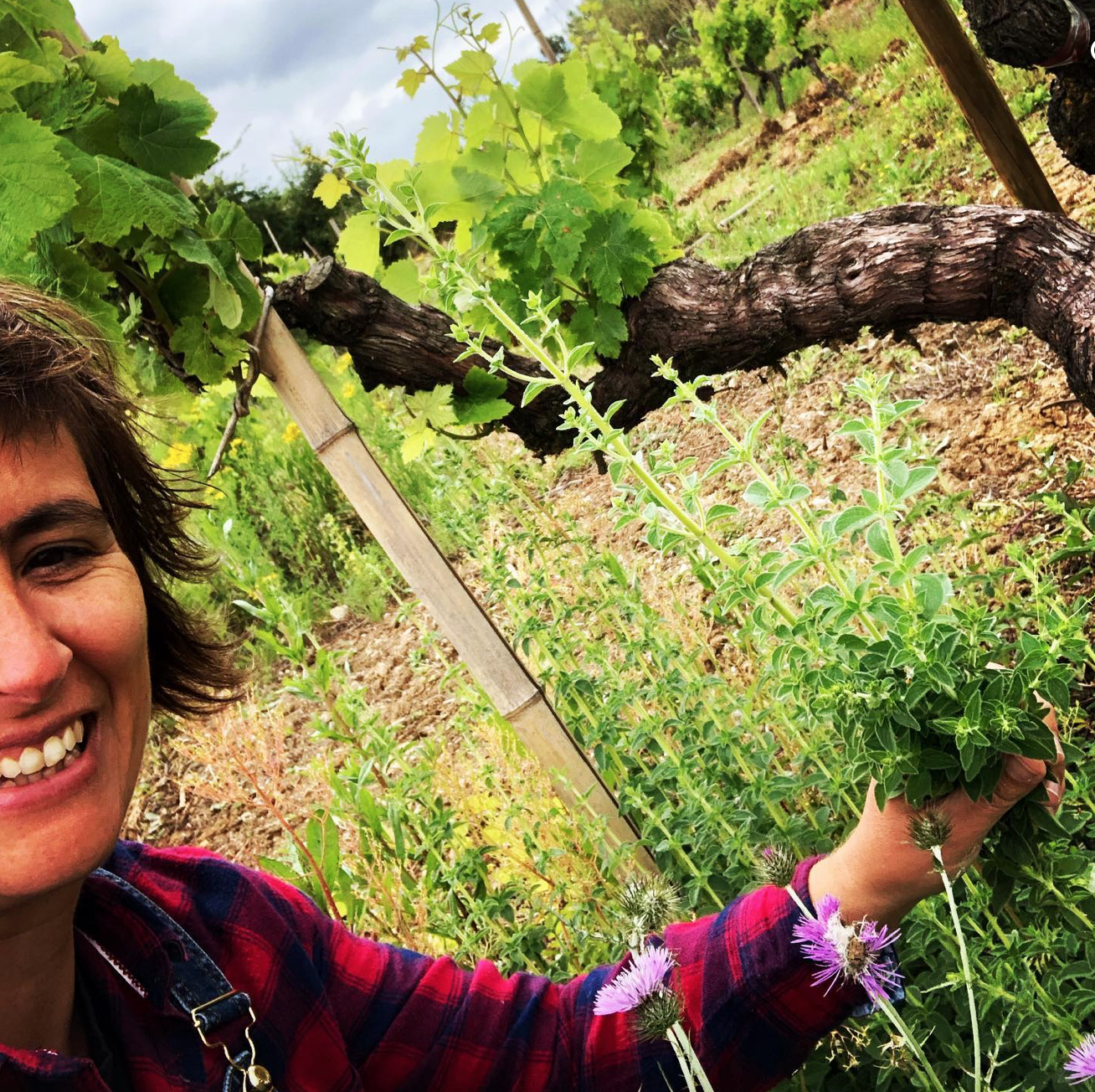 Exploring Portugal: Filipa Pato's Soulful Wines
