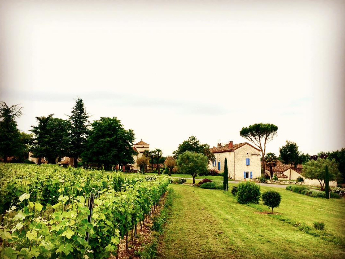 Pierre Fabre of Domaine Gayrard on the Unique Wines of Gaillac in South West France