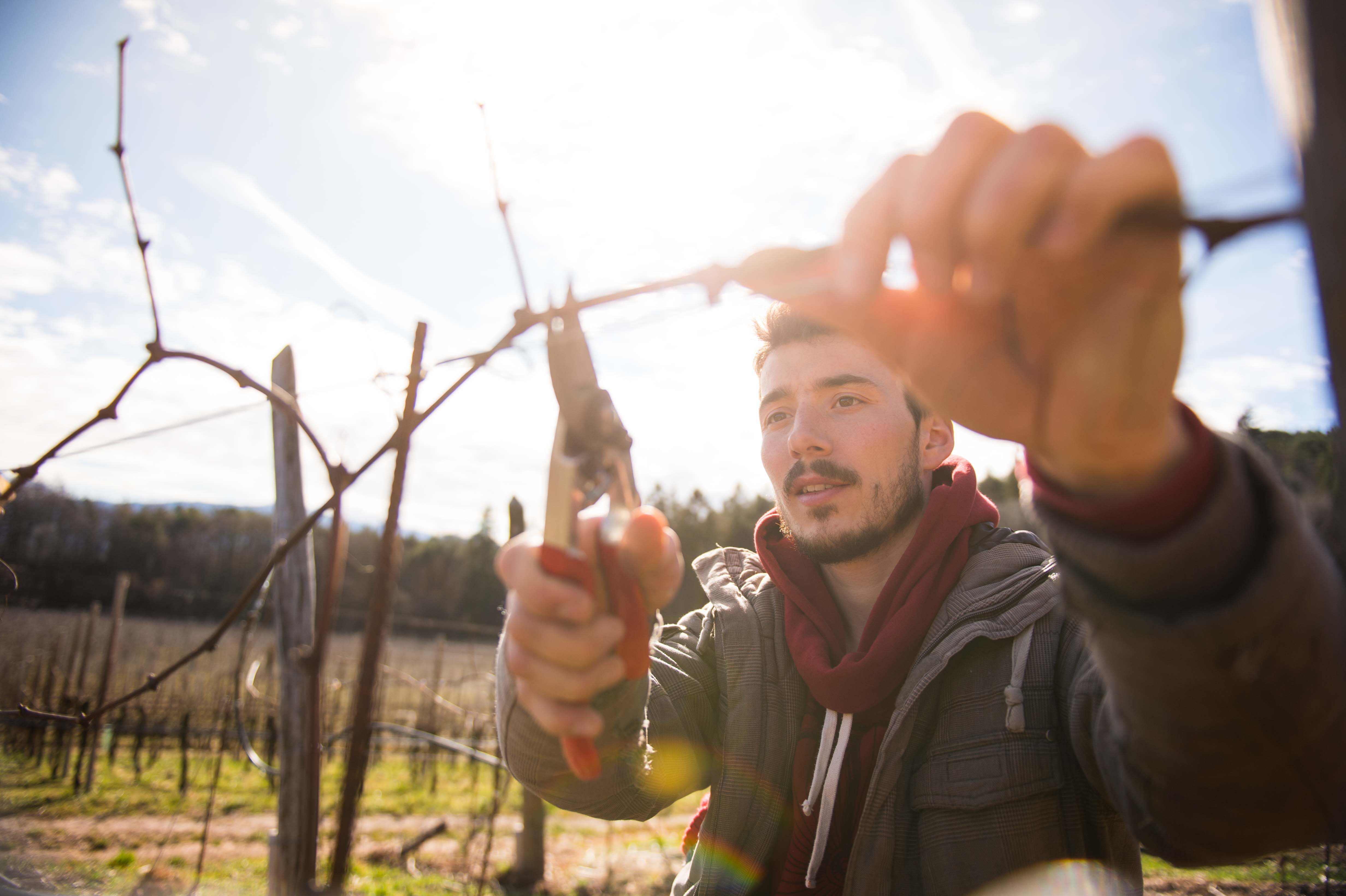 From the Soul of the Dolomites: Thomas Niedermayr - Hof Gandberg Natural Wines Are Perfectly Imperfect