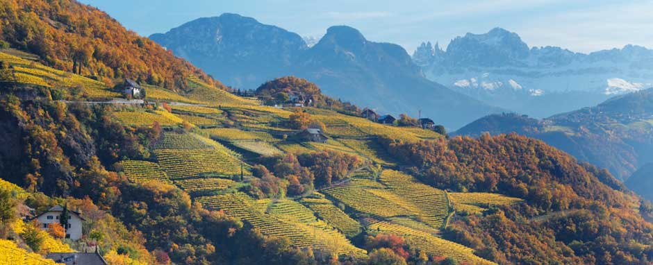 Elena Walch Discusses The Distinct Red and White Wines of Alto Adige