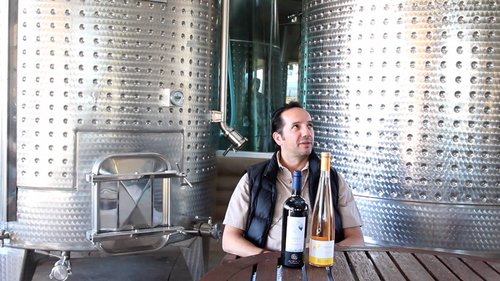 Alvaro Alvarez-Parilla, AlXimia Winery