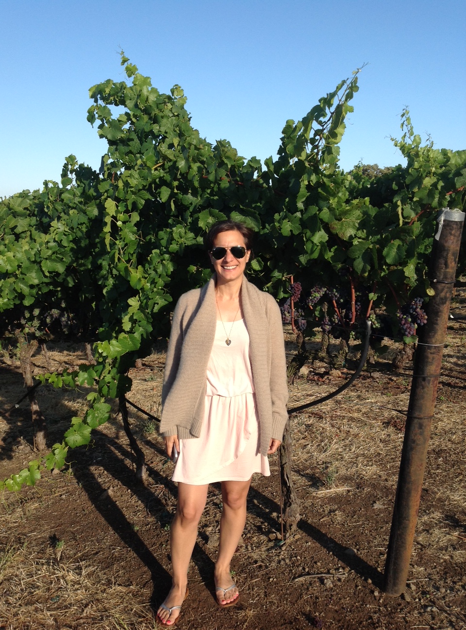 SpeakEasy: Alyssa Vitrano, Grapefriend