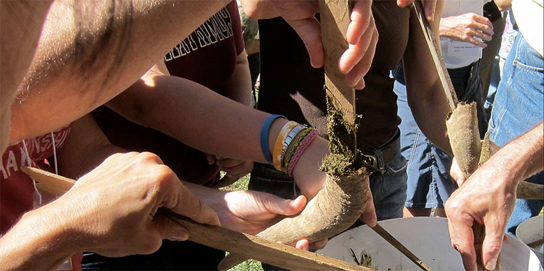 Moonstruck in Alsace: How Biodynamic Winemakers are Connecting the Dots Between Soil and Sky