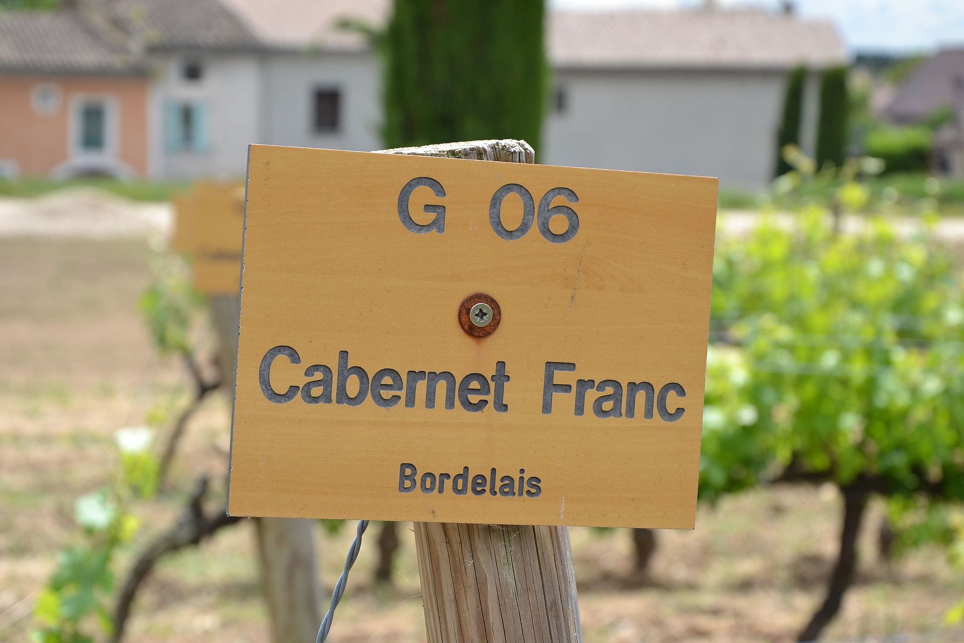 Celebrating The Underappreciated: Cabernet Franc Day 2016