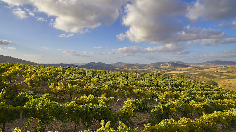 Claudio Sottile: Following NYC Dreams to Sicily and Back