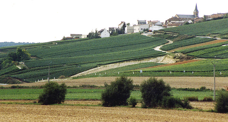 Eric Fournel of Duval Leroy On Champagne, Climate Change, and English Sparkling Wine