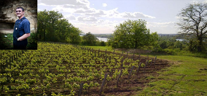 There Goes the Neighborhood: Montlouis-sur-Loire Ascendant