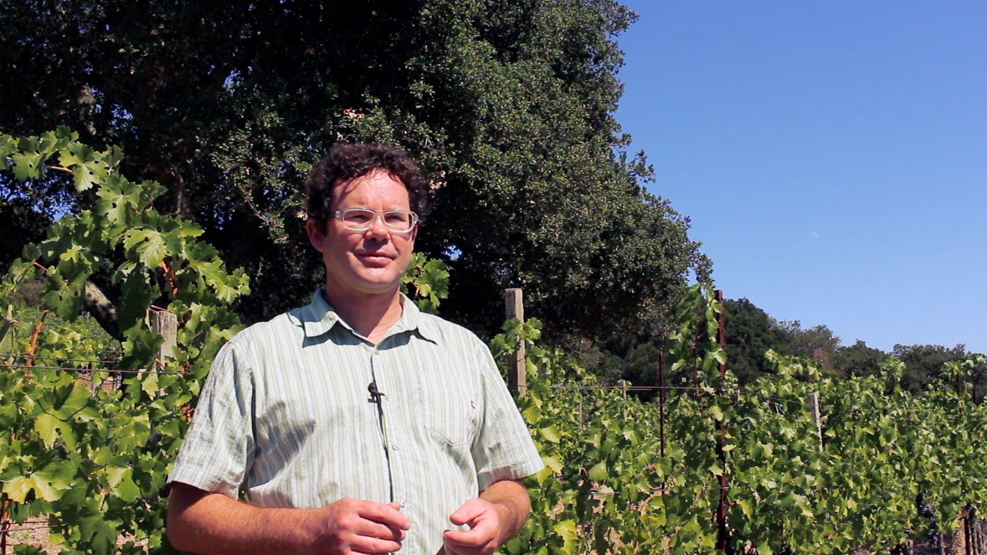 Young Guns of Napa: Christopher Vandendriessche