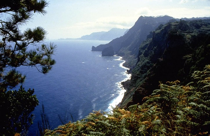 5 Views on Madeira: A Wine of Uncompromising Intensity
