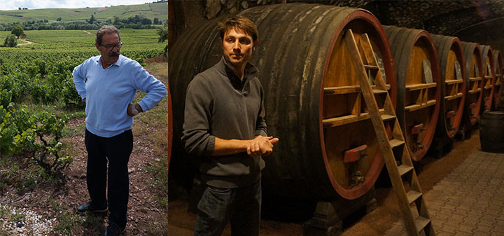 Beaujolais: The Greatest Secret in Wine