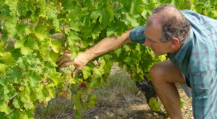 Denis Jamain of Domaine de Reuilly