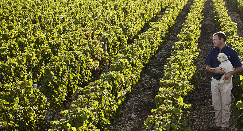 Coteaux du Giennois and Emmanuel Charrier of Domaine de l’Epineau