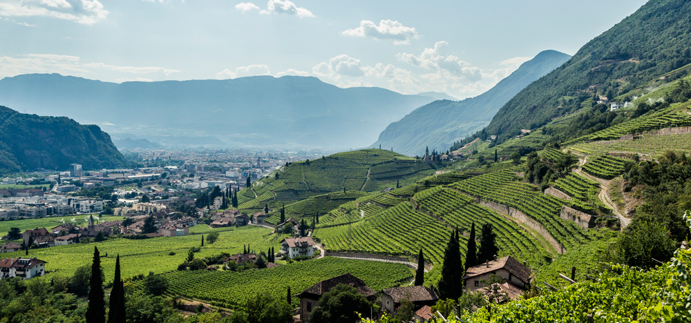 The Alto Adige Alliance: Good Cooperatives are Good Values