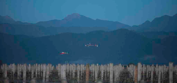 Frost Fighters: The Helicopters That Protect The Vines