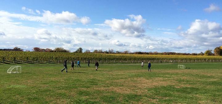 Falls at Wölffer Estate Bring Harvest, Bottling, and Soccer