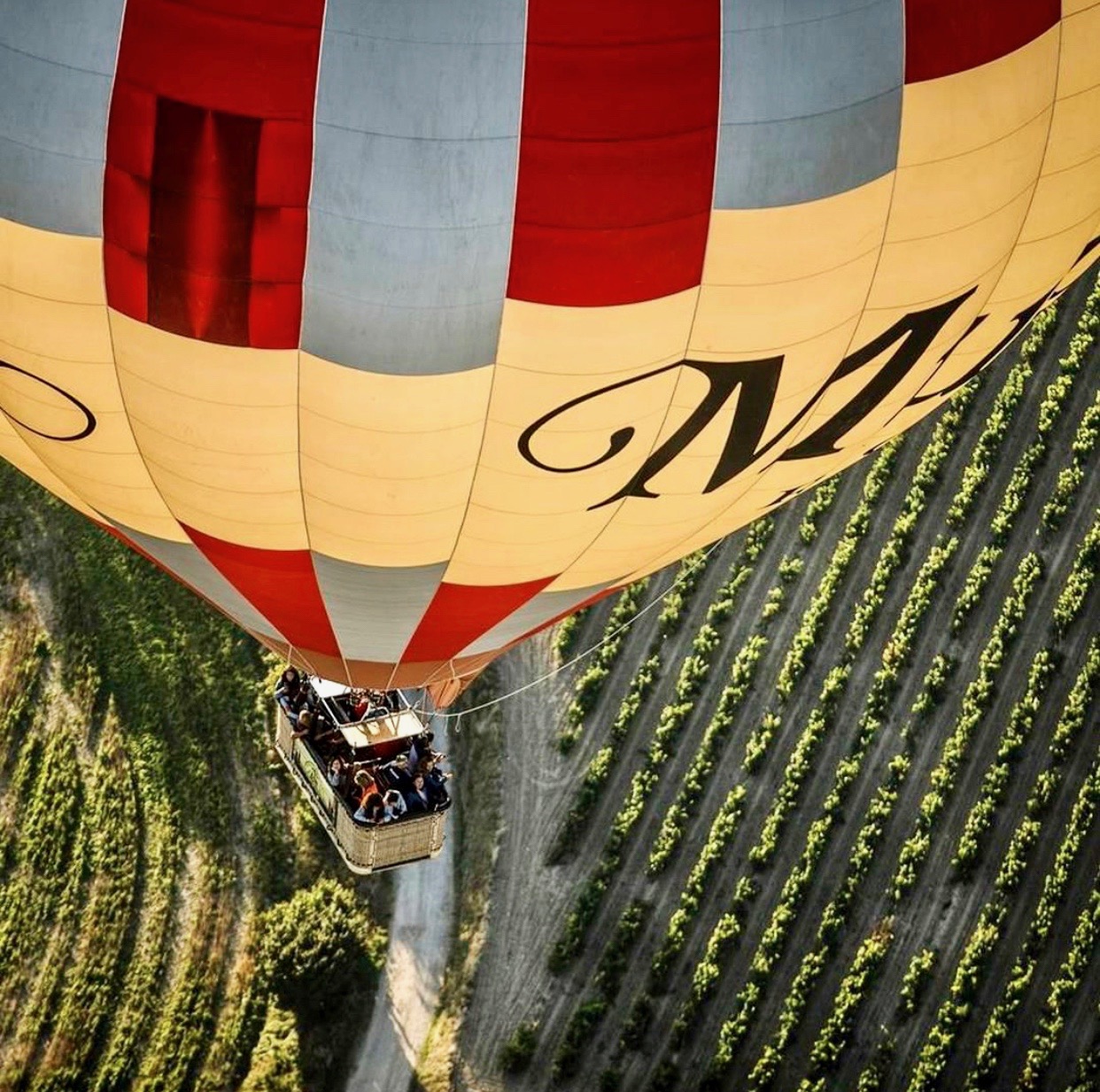 Wine Tourism in Rioja, A Traveler's Playground