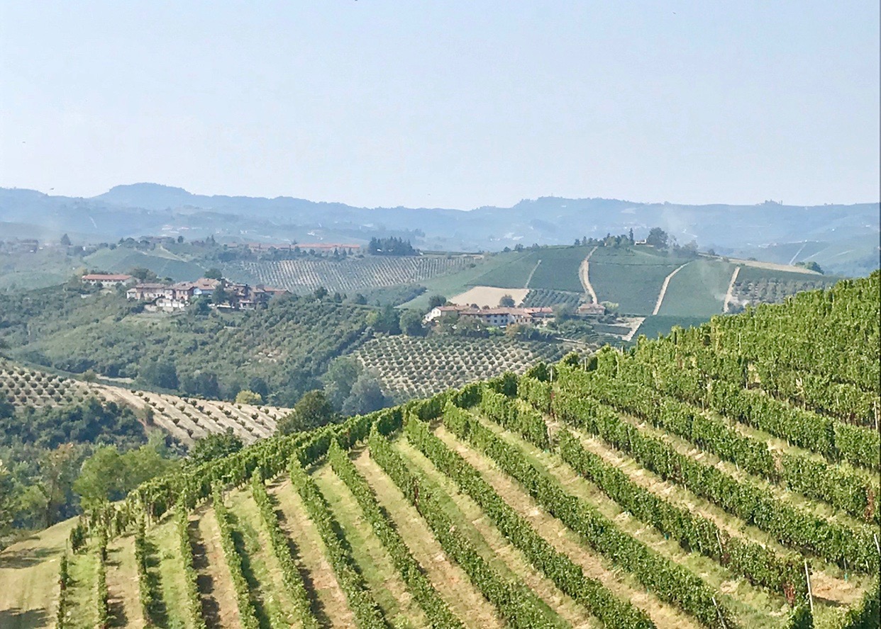 Interview with Matteo Ascheri, President of The Barolo, Barbaresco, Alba, Langhe, and Dogliani Wine Consortium