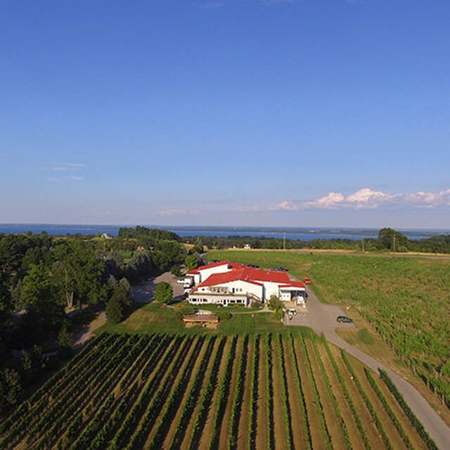 Michigan Vineyards 360 Degree Video