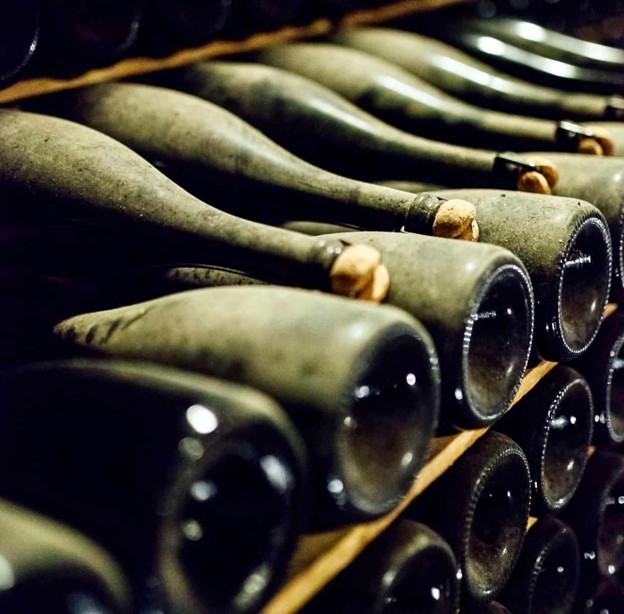 The Changing Perception of Cava: An interview with Javier Pagés, President of DO Cava