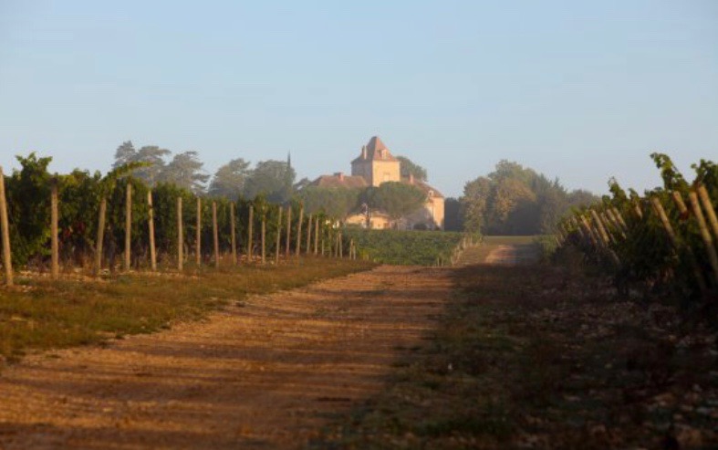 Château de Haute-Serre Is Helping French Malbec Make A Comeback