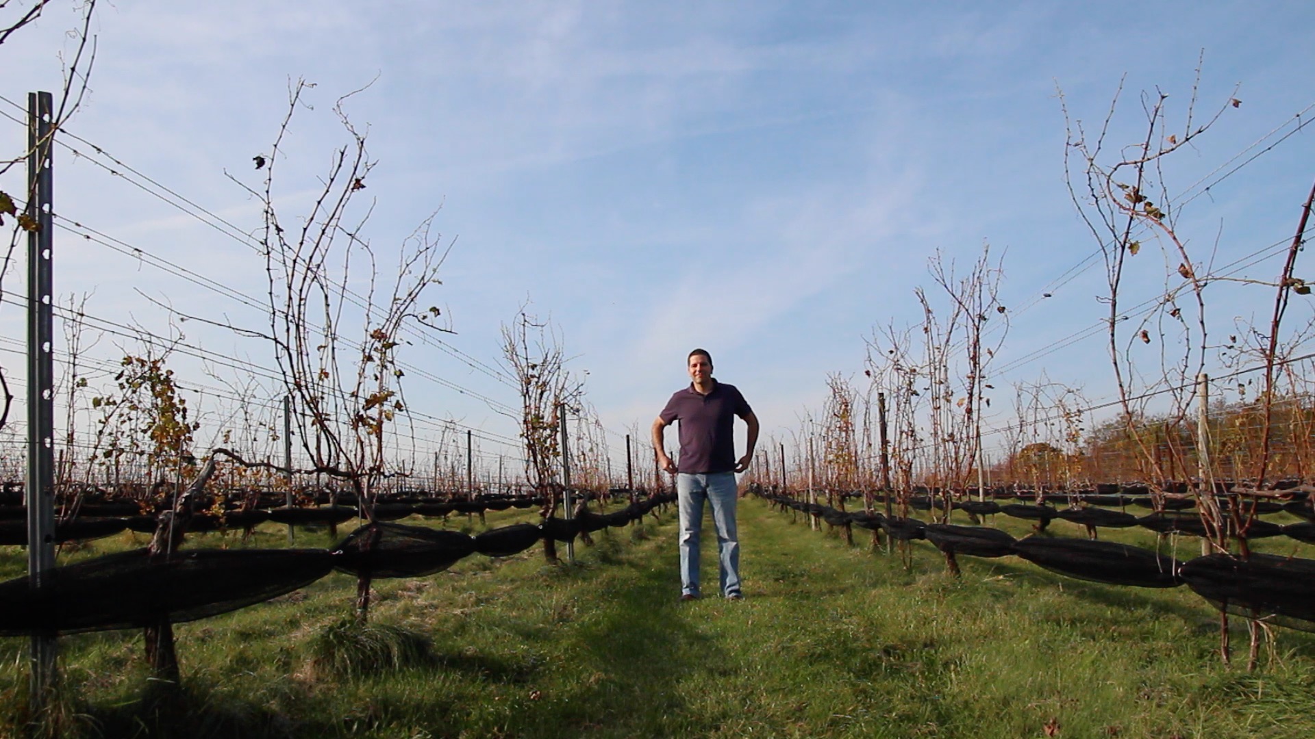 Kareem Massoud, Paumanok Vineyards in Long Island