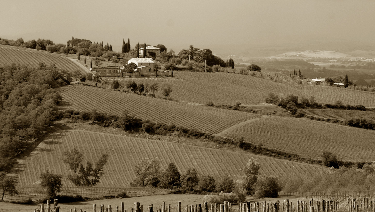 The Greening of Brunello