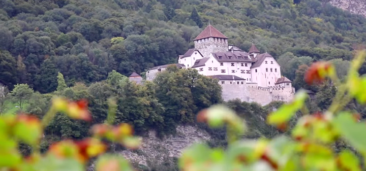 The Wine of Liechtenstein: A Princely Pursuit