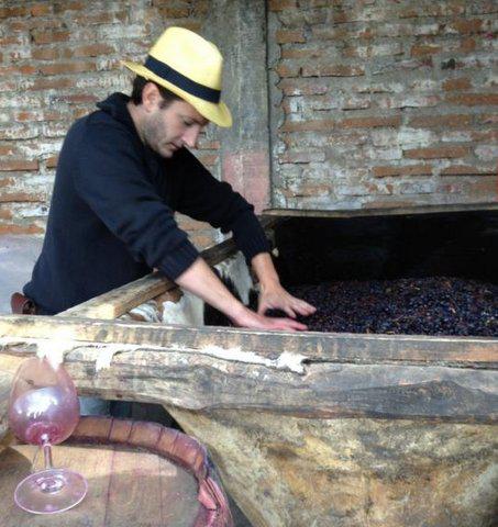 Louis-Antoine Luyt: Vine Archaeologist And Winemaker