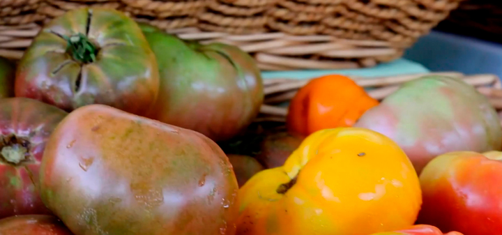 Wine Living Detours: Philly Farmer's Market