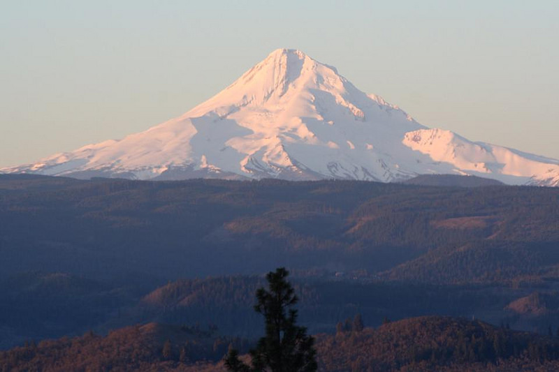 Gamay in the Gorge: Washington State's Memaloose Winery