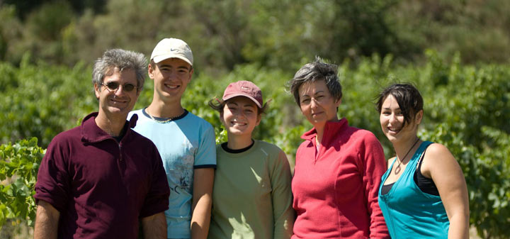 The Wild Ones: The Sweetest Sting