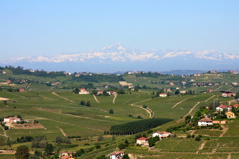 You Say Nebbiolo; They Say Spanna