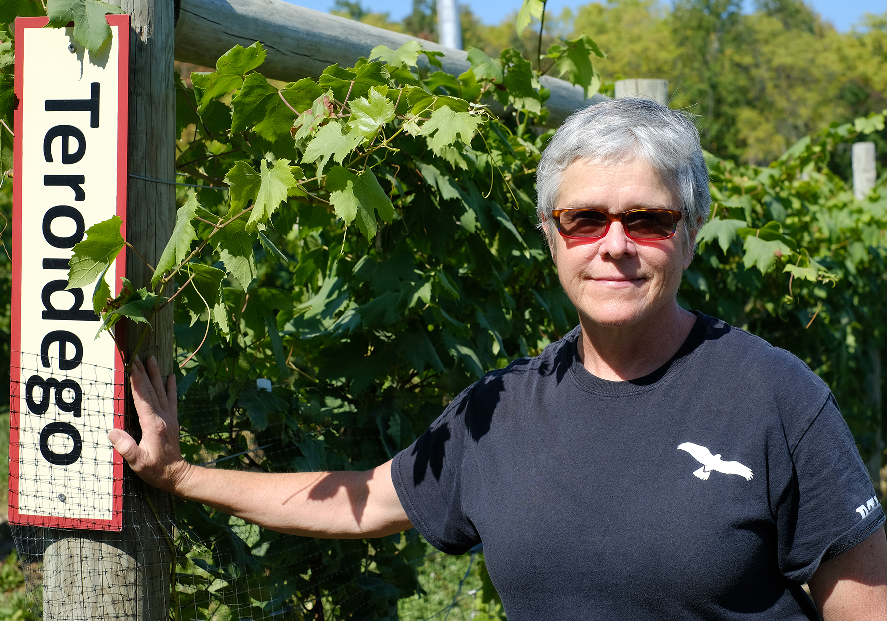 Experimentation in the Finger Lakes: Nancy Irelan of Red Tail Ridge